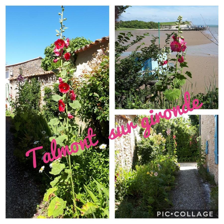 Gite " Les Tourterelles" Thaims Exteriér fotografie